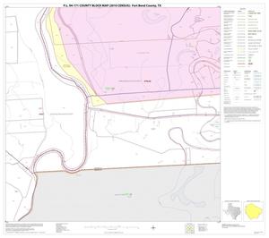 P.L. 94-171 County Block Map (2010 Census): Fort Bend County, Block 52