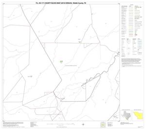 P.L. 94-171 County Block Map (2010 Census): Webb County, Block 30