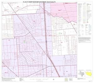 P.L. 94-171 County Block Map (2010 Census): Harris County, Block 134
