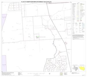 P.L. 94-171 County Block Map (2010 Census): Harris County, Block 100