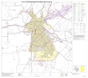 P.L. 94-171 County Block Map (2010 Census): Brown County, Block 12
