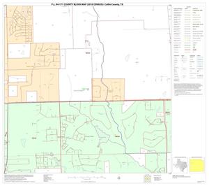 P.L. 94-171 County Block Map (2010 Census): Collin County, Block 31