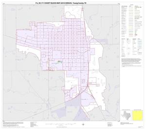 P.L. 94-171 County Block Map (2010 Census): Young County, Inset A01