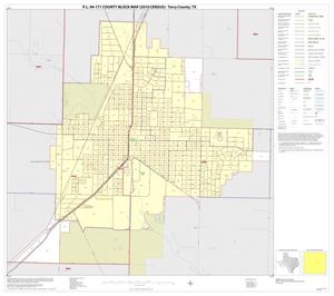 P.L. 94-171 County Block Map (2010 Census): Terry County, Inset B01