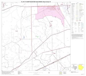 P.L. 94-171 County Block Map (2010 Census): Bexar County, Block 49
