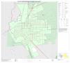 Thumbnail image of item number 1 in: 'P.L. 94-171 County Block Map (2010 Census): Hill County, Inset G01'.