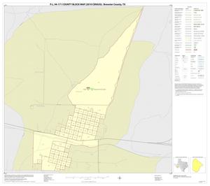 P.L. 94-171 County Block Map (2010 Census): Brewster County, Inset B01
