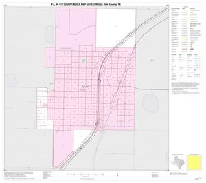 P.L. 94-171 County Block Map (2010 Census): Hale County, Inset C01
