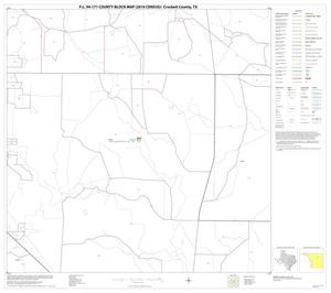 P.L. 94-171 County Block Map (2010 Census): Crockett County, Block 13