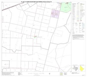 P.L. 94-171 County Block Map (2010 Census): Reeves County, Block 24
