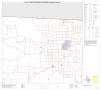 Primary view of P.L. 94-171 County Block Map (2010 Census): Hudspeth County, Block 4