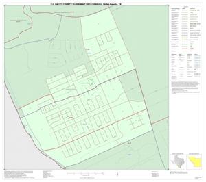 P.L. 94-171 County Block Map (2010 Census): Webb County, Inset A01