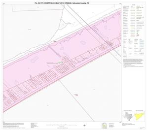 Primary view of object titled 'P.L. 94-171 County Block Map (2010 Census): Galveston County, Block 20'.