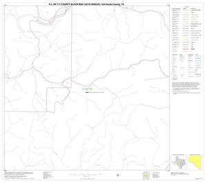 P.L. 94-171 County Block Map (2010 Census): Val Verde County, Block 49