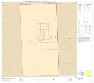 P.L. 94-171 County Block Map (2010 Census): Hidalgo County, Inset R01