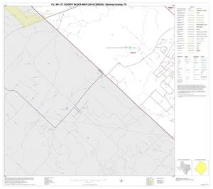 P.L. 94-171 County Block Map (2010 Census): Bastrop County, Block 21
