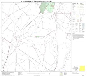 P.L. 94-171 County Block Map (2010 Census): Kinney County, Block 19