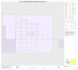 Primary view of object titled 'P.L. 94-171 County Block Map (2010 Census): Briscoe County, Inset C01'.