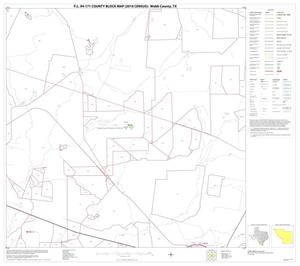 P.L. 94-171 County Block Map (2010 Census): Webb County, Block 44