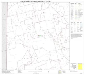 Primary view of object titled 'P.L. 94-171 County Block Map (2010 Census): Reagan County, Block 4'.