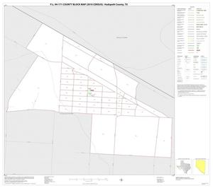 P.L. 94-171 County Block Map (2010 Census): Hudspeth County, Inset A01