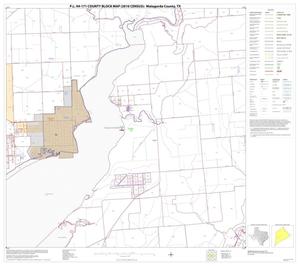 P.L. 94-171 County Block Map (2010 Census): Matagorda County, Block 21