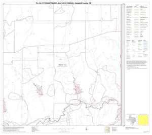 Primary view of object titled 'P.L. 94-171 County Block Map (2010 Census): Hemphill County, Block 12'.