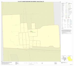 P.L. 94-171 County Block Map (2010 Census): Liberty County, Inset B01