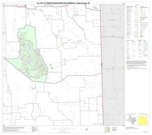 P.L. 94-171 County Block Map (2010 Census): Cooke County, Block 22