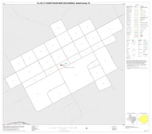 P.L. 94-171 County Block Map (2010 Census): Goliad County, Inset C01