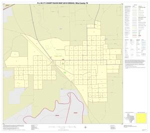 P.L. 94-171 County Block Map (2010 Census): Wise County, Inset E01