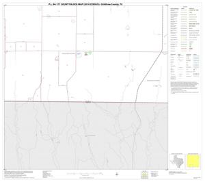Primary view of object titled 'P.L. 94-171 County Block Map (2010 Census): Ochiltree County, Block 14'.