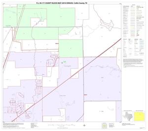 P.L. 94-171 County Block Map (2010 Census): Collin County, Block 25
