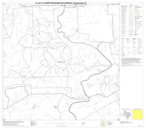 P.L. 94-171 County Block Map (2010 Census): Young County, Block 10
