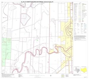 P.L. 94-171 County Block Map (2010 Census): Cameron County, Block 36