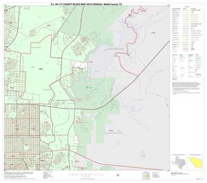P.L. 94-171 County Block Map (2010 Census): Webb County, Inset C04