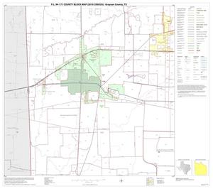 P.L. 94-171 County Block Map (2010 Census): Grayson County, Block 12