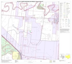 P.L. 94-171 County Block Map (2010 Census): Cameron County, Block 44