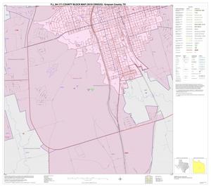 P.L. 94-171 County Block Map (2010 Census): Grayson County, Inset J02