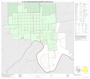 P.L. 94-171 County Block Map (2010 Census): Goliad County, Inset A01