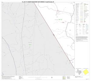 P.L. 94-171 County Block Map (2010 Census): Coryell County, Block 14