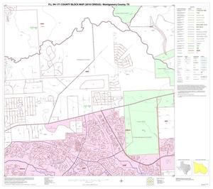 P.L. 94-171 County Block Map (2010 Census): Montgomery County, Block 29