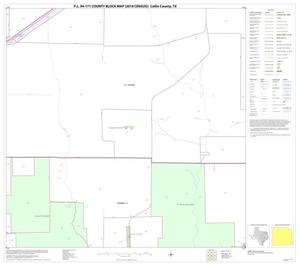 P.L. 94-171 County Block Map (2010 Census): Collin County, Block 91