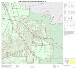 P.L. 94-171 County Block Map (2010 Census): Wichita County, Inset E04