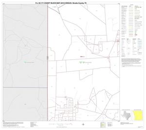 P.L. 94-171 County Block Map (2010 Census): Brooks County, Block 8