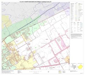 P.L. 94-171 County Block Map (2010 Census): Guadalupe County, Block 8