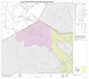 P.L. 94-171 County Block Map (2010 Census): Robertson County, Block 21