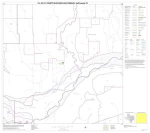 P.L. 94-171 County Block Map (2010 Census): Hall County, Block 7