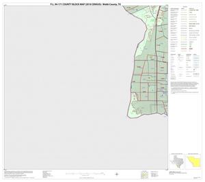 P.L. 94-171 County Block Map (2010 Census): Webb County, Block 41