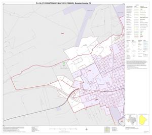 P.L. 94-171 County Block Map (2010 Census): Brewster County, Inset A01